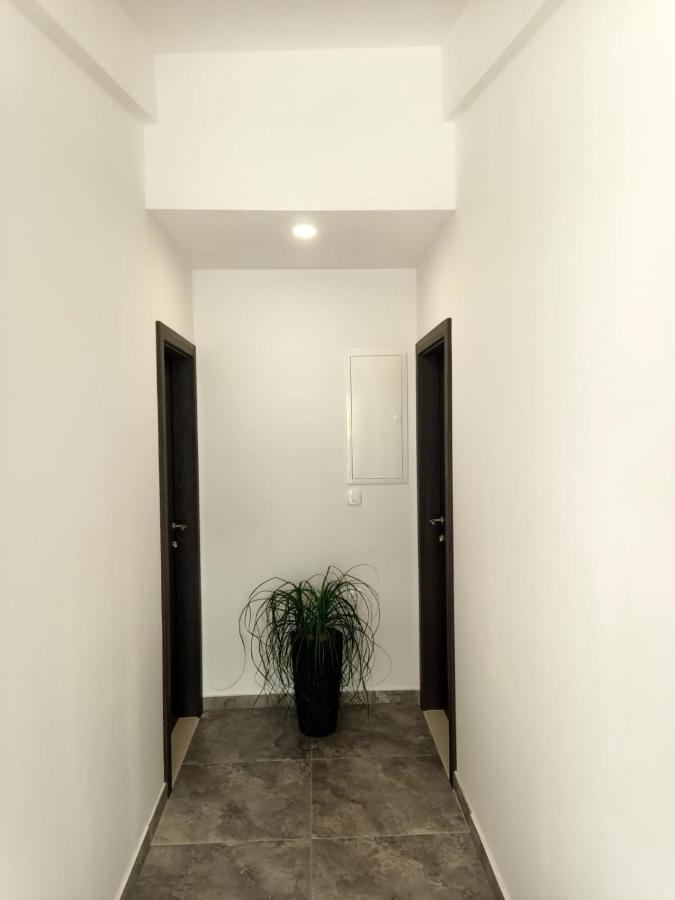 Apartman Lux 马卡尔斯卡 外观 照片